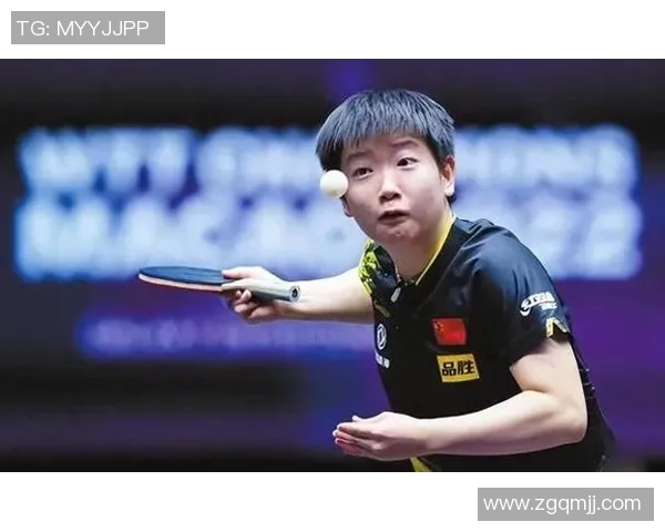 深入探讨上海乒乓球队比赛经验与表现的关系及其数据分析结果