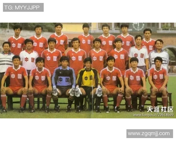 广州排球队技术解析：从基本功到战术运用的全方位剖析