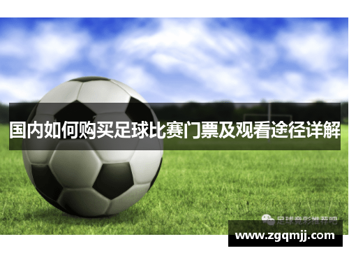 国内如何购买足球比赛门票及观看途径详解
