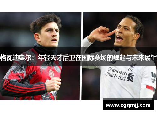 格瓦迪奥尔：年轻天才后卫在国际赛场的崛起与未来展望